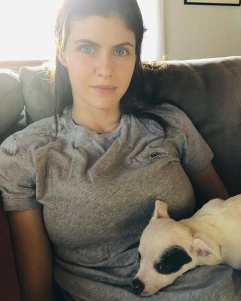 🔥 Alexandra daddario leaked private photo uncensored full