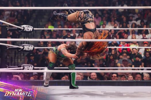 🔥 Sasha banks page leaked private photo uncensored full