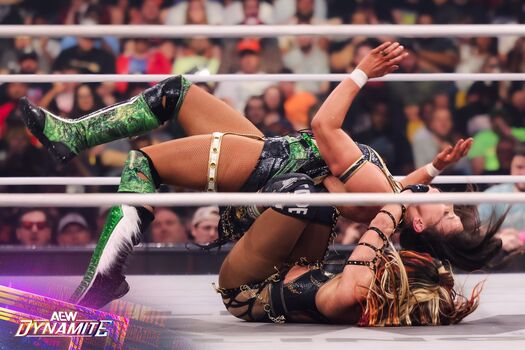 🔥 Sasha banks page leaked private photo uncensored full