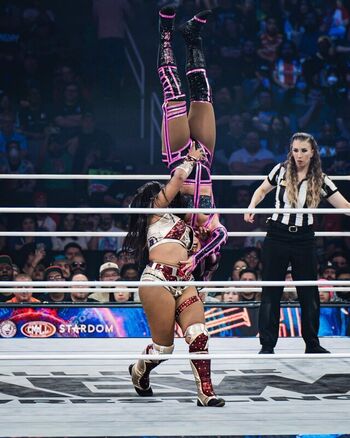 🔥 Sasha banks leaked private photo uncensored full