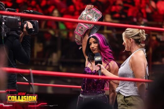 🔥 Sasha banks page leaked private photo uncensored full