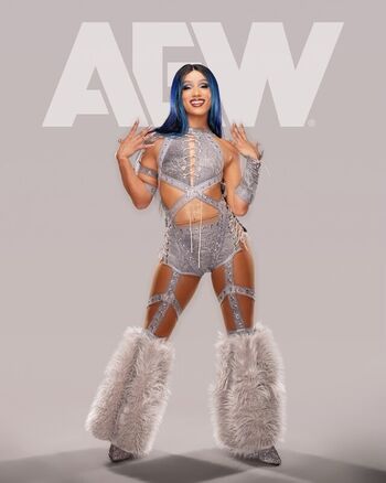 🔥 Sasha banks page leaked private photo uncensored full